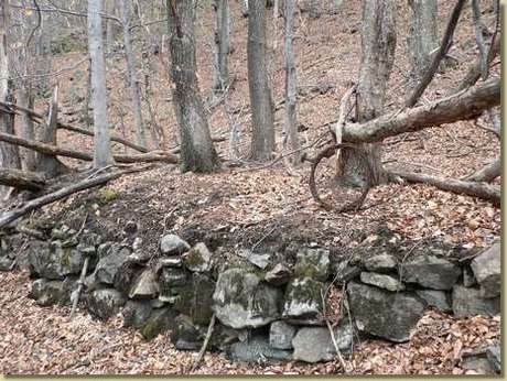  Image name: 37 Carbonai.jpg 
 width: 460 pixel 
 height: 346 pixel 
 Size: 42335 bytes 
 Click to enlarge 